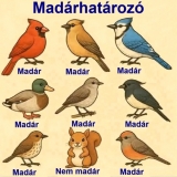 Napi humor