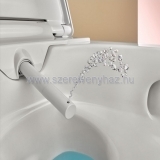 Geberit wc lke csszvel aquaclean alba bids